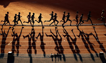 选择我们的五大优势